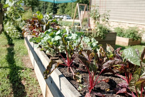 les astuces pour aménager un jardin potager bio en permaculture