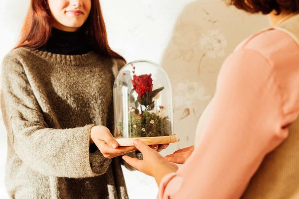 Magie intemporelle : rose éternelle sous cloche